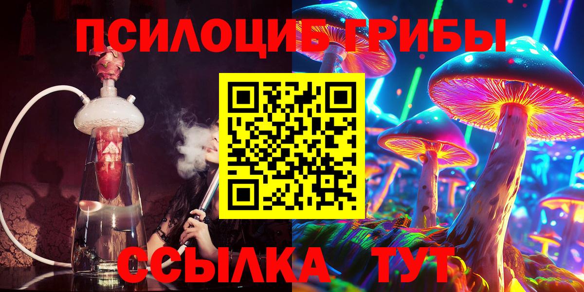 Псилоцибиновые грибы Psilocybe Михайловск