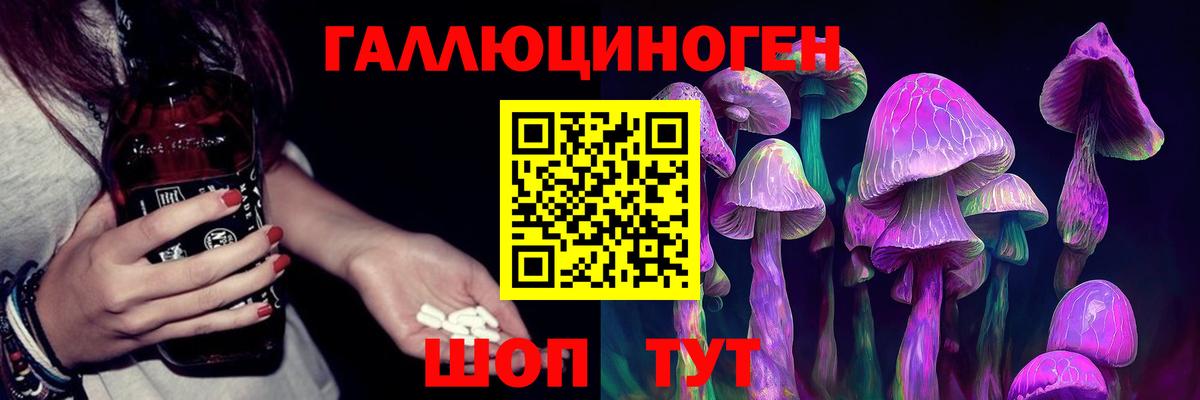 как найти   Вход с VPN  Псилоцибиновые грибы Psilocybine cubensis  Михайловск  Псилоцибиновые грибы Magic Shrooms 